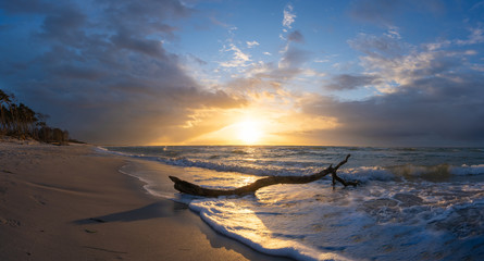 beautiful sunset over the sea, panorama view of a dramatic sunset with dark clouds. rain clouds or storm clouds before the storm, tree trunk lies in the water on the bea, german baltic sea