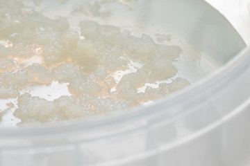 Close up of white observed sample in Petri dish. Medical laboratory, medical glassware concept...