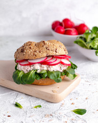 Spring sandwich with cottage cheese, radish, chives and lamb's lettuce on a light background