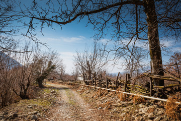 Amazing view with colorful autumn forest with asphalt mountain road at sunset. Beautiful landscape with empty road, trees and sunlight in the evening in autumn. Travel background. Nature
