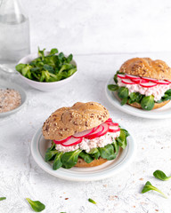 Spring sandwich with cottage cheese, radish, chives and lamb's lettuce on a light background