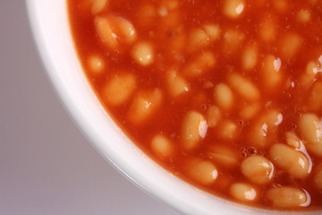 A studio photograph of baked beans in a tomato sauce