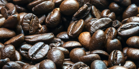 grain roasted coffee close-up panorama
