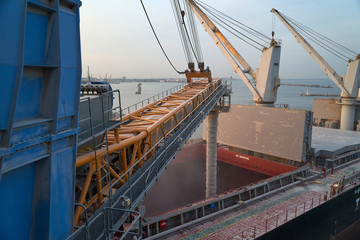 Port grain elevator. Industrial sea trading port bulk cargo zone grain terminal