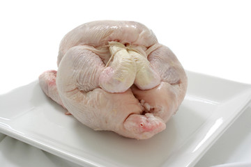 A studio photograph of a raw plucked chicken