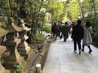 group of people walking in the park