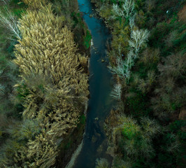 Naklejka na ściany i meble Fotografía aérea de el río atravesando el bosque