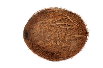 A studio photograph of a coconut
