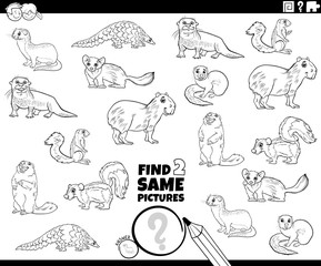 find two same animal characters color book page