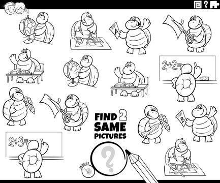 find two same turtle characters color book page