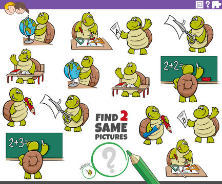 find two same turtle characters task for kids