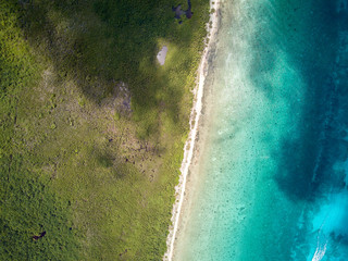 Aerial view of Cozumel island, half jungle, half Caribbean Sea