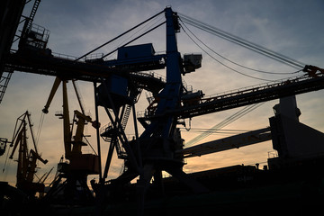 Harbor cranes in backlight. Port cranes at industrial sea port