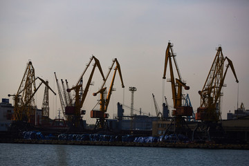 Harbor cranes in backlight. Port cranes at industrial sea port