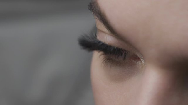 Eyelash Extension Procedure. Woman Eye with Long Eyelashes. Close up.