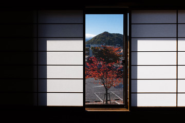 Japanese window and a tree with red leaves on a parking lot