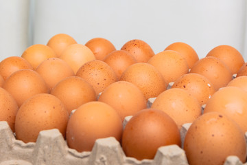 Pack de huevos de color. Producto de campo. Granja.