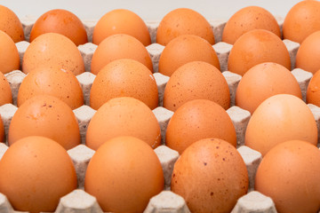 Pack de huevos de color. Producto de campo. Granja.