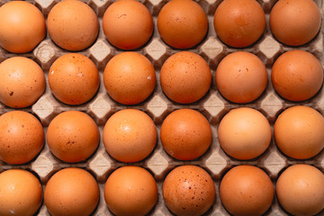 Pack de huevos de color. Producto de campo. Granja.