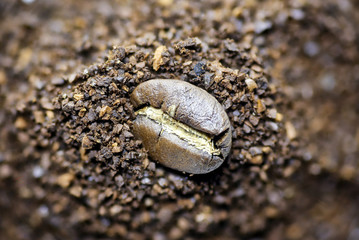 Coffee grind