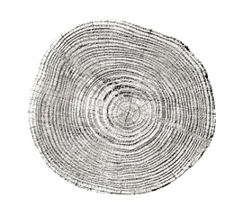 Piece of wood circle with growth rings on a white background. Black and white felled tree trunk...
