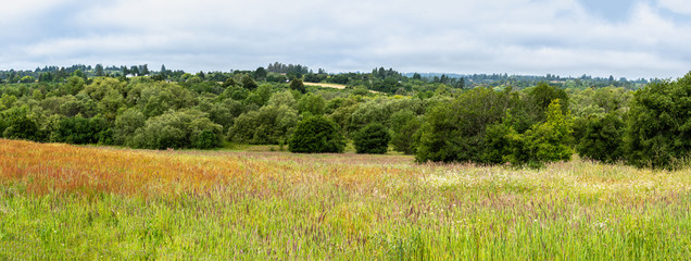Panorama of Meadow at Ragle Ranch Regional Park, Sonoma County, California, USA.