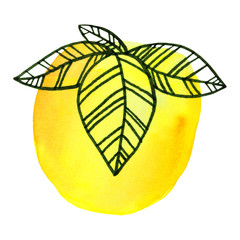 Watercolor and marker yellow apple with leaves isolated on white background naive art