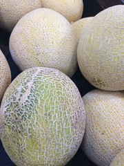 Cantaloupe melons at the market