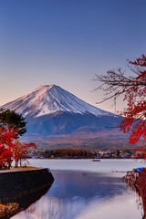 Japan and Asian Travel Destinations. Fuji Mountain in Kawaguchiko in Japan With Seasonal Red Maples...