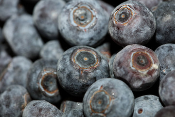 Wild blue berries macro background high quality prints