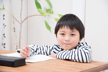 勉強をする小学生の男の子