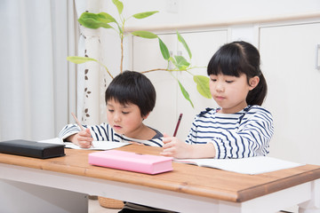 勉強をする小学生の男の子と女の子