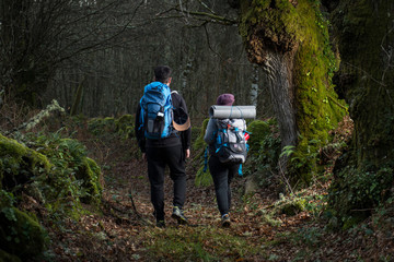 a couple of pilgrims seen from behind walk towards Santiago along a small path in the Way of Saint James