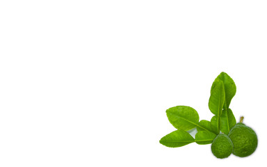 fresh bergamot fruit with leaf isolated on white background
