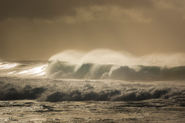 Huge waves at sunrise, Sydney Australia