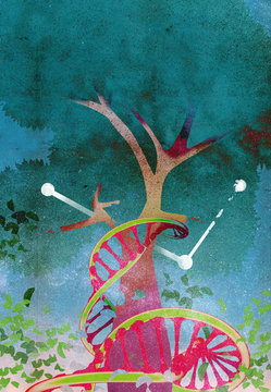 A DNA String Growing Surronding A Tree With A Line Graph. A DNA String And A Tree Depicting Life, What Is Inherited, And Family Business.