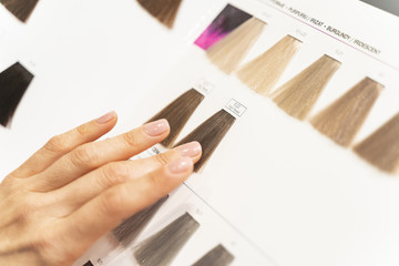 Young client choosing necessary color for her dying