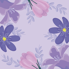 floral design with purple flowers and leaves
