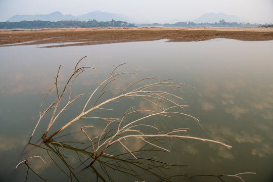 The water in the Mekong River has fallen to a critical level, Sangkhom district, Loei province, Thailand