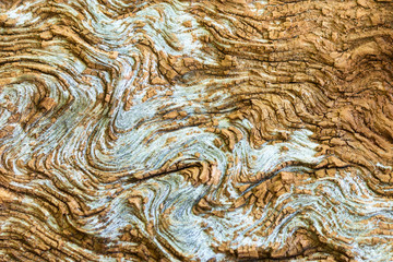 Old wood Texture With Natural Pattern