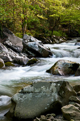 The Middle Prong of the Little River swells with spring runoff in Great Smoky Mountain National Park.