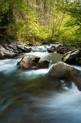 The Middle Prong of the Little River swells with spring runoff in Great Smoky Mountain National Park.