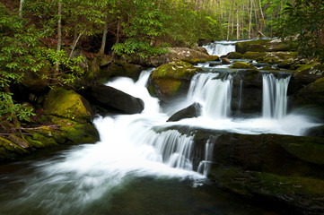 One of countless waterfalls on the Middle Prong of the Little River, Great Smoky Mountains National Park, Tennessee.