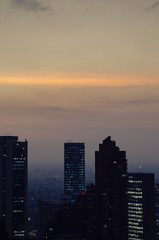 Portrait shot of bogota skyline at sunset