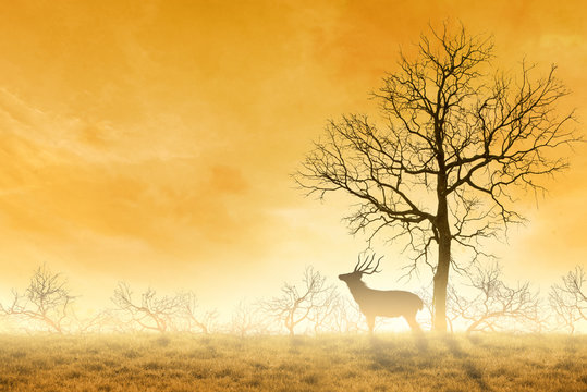 Conceptual Deer stag , a dry tree as red deer stag.