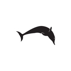 Dolphin graphic design template vector isolated