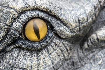 Close up eye dinosaur