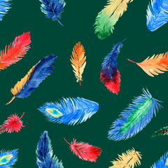 Watercolor summer seamless pattern with bright tropical feathers on green background