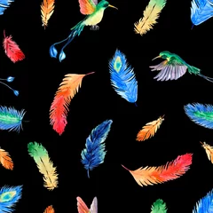 Foto op Plexiglas anti-reflex Vlinders naadloos patroon met kleurrijke veren