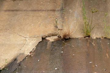 water seeping from crack in concrete wall structure.